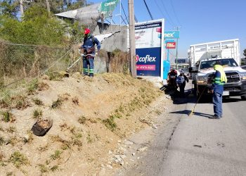 Monterrey Renueva Su Imagen Urbana Tras Semana Santa