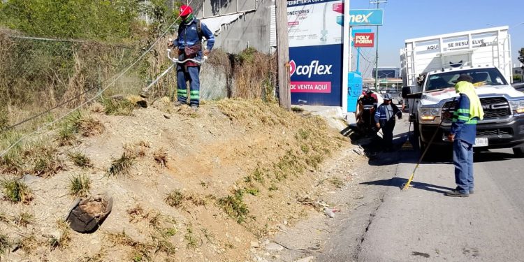 Monterrey Renueva Su Imagen Urbana Tras Semana Santa