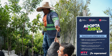 460 Árboles Adoptados Para La Reforestación Urbana En Monterrey