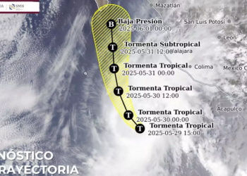 Tormenta Alvin Llega A Las Costas De México