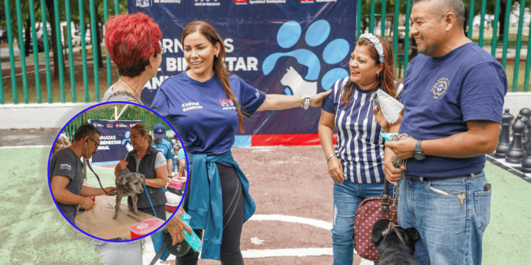 Monterrey Impulsa Bienestar Animal Con Servicios Gratuitos