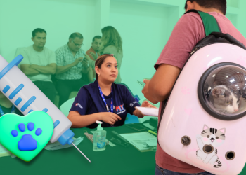 Monterrey Refuerza Su Compromiso Con Las Mascotas Con Esterilización Gratuita