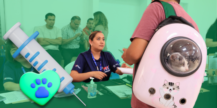 Monterrey Refuerza Su Compromiso Con Las Mascotas Con Esterilización Gratuita