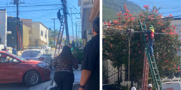 Programa De Limpieza De Cableado En Monterrey Continúa Avanzando