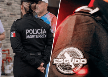 desempeño de la estrategia ESCUDO